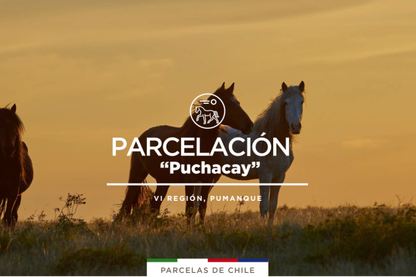 puchacay